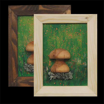 bundle_bild_pilz