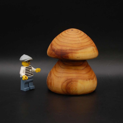 pilz30_60_75