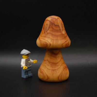 pilz31_45_95_1310619807