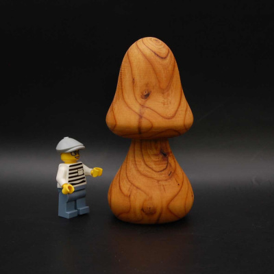 pilz32_45_100