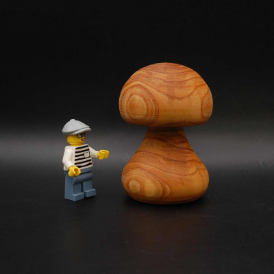 pilz33_45_75