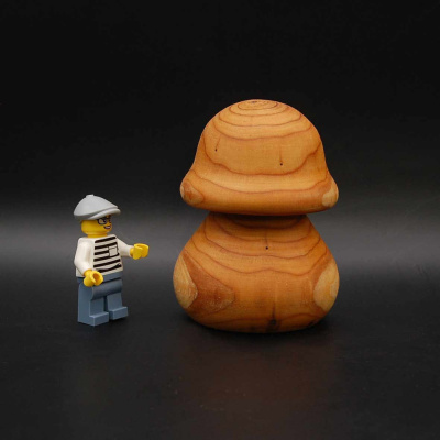 pilz34_55_75