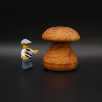 pilz35_50_60