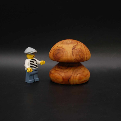 pilz36_50_50