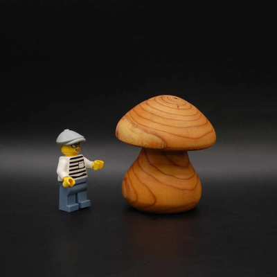 pilz37_55_60