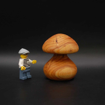 pilz38_50_65
