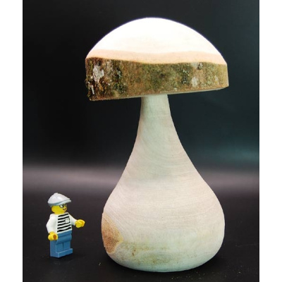 pilz_11_esche_165_100_410