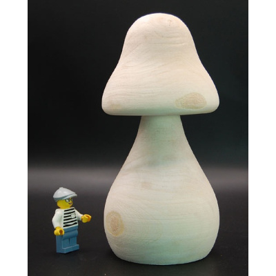 pilz_13_esche_155_70_330