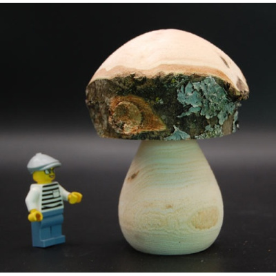 pilz_14_esche_100_75_170