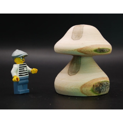 pilz_15_esche_70_60_90