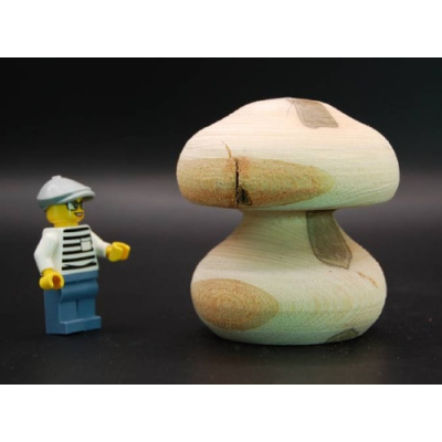 pilz_16_esche_65_60_100