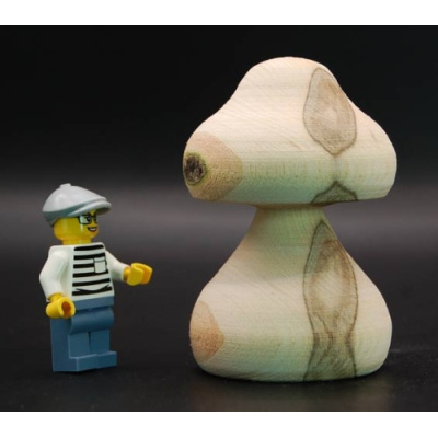 pilz_17_esche_75_50_75