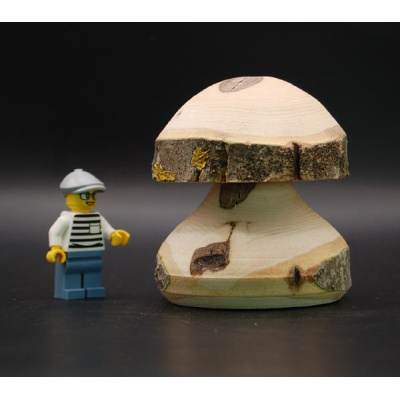 pilz_21_60_70