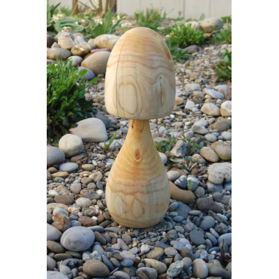 pilz_31_a