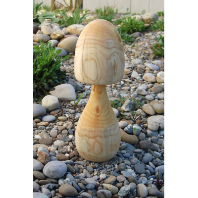 pilz_31_a_757007312