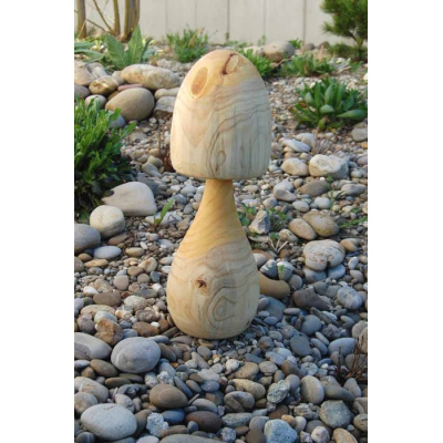 pilz_31_b