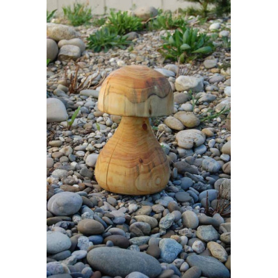 pilz_33_b