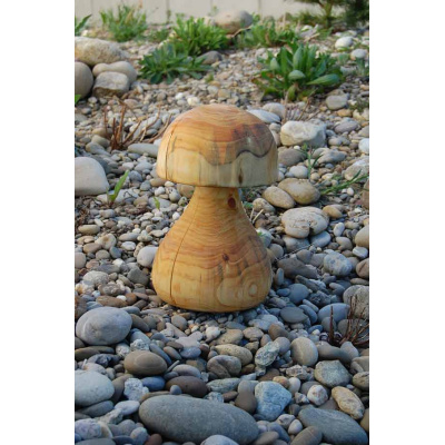 pilz_33_b_1268169310
