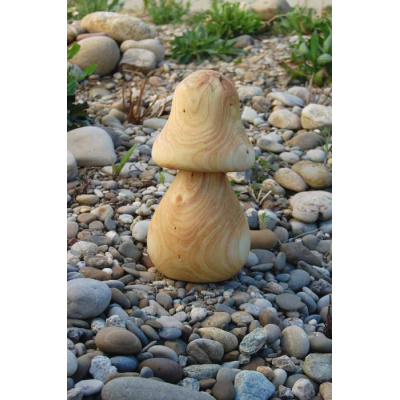 pilz_34_a