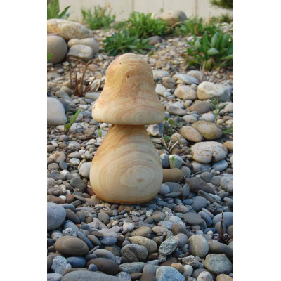 pilz_34_b_272299578