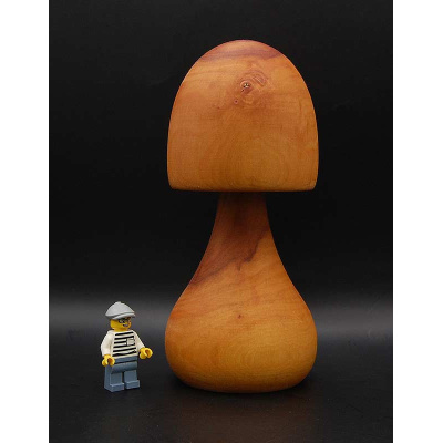 pilz_38_a