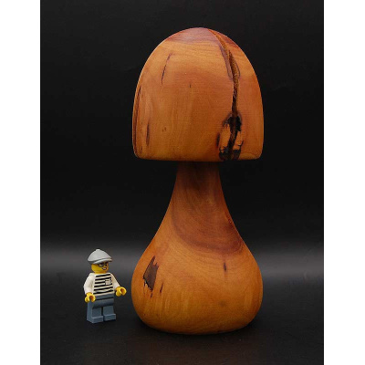 pilz_38_b