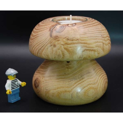 pilz_akazie_100_100_490