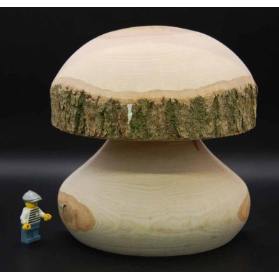 pilz_halb_19a