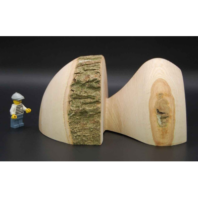 pilz_halb_19a2