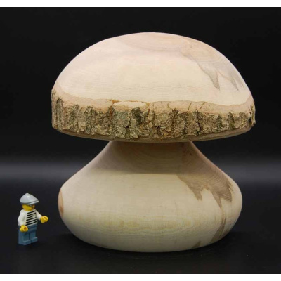 pilz_halb_19b