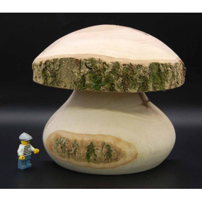 pilz_halb_9b