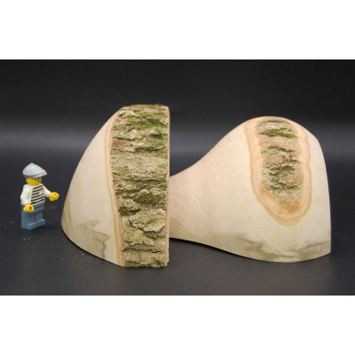 pilz_halb_9b2