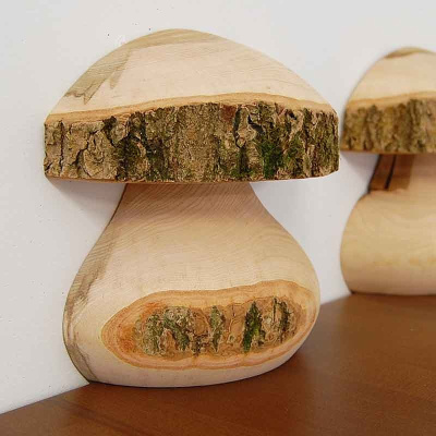 pilz_halb_9b3