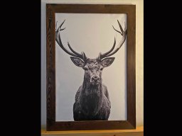 bilderrahmen_fichte_hirsch_1