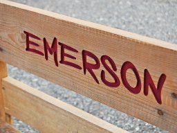 emerson-hundebett-3